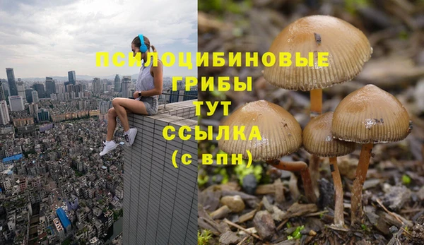 ECSTASY Алзамай