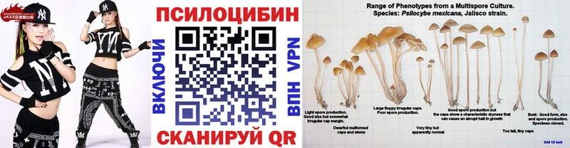 Псилоцибиновые грибы Psilocybe  где продают наркотики  Касли 